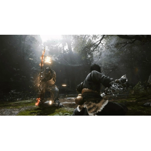 Игра Black Myth: Wukong для PS5